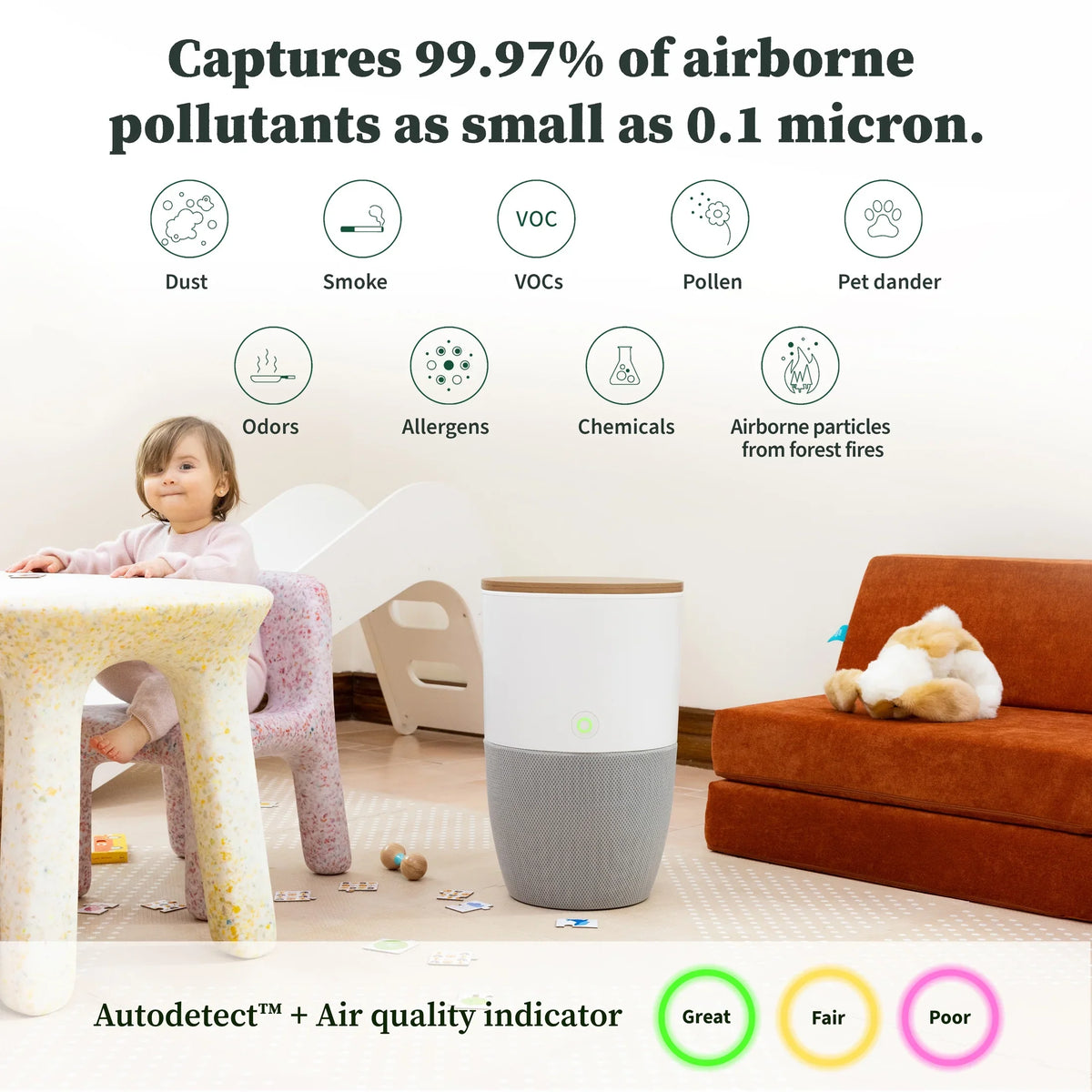 Dupray Bloom™ Air Purifier | Smart Medical-Grade -13 Air Filtration With Walnut Accent Table