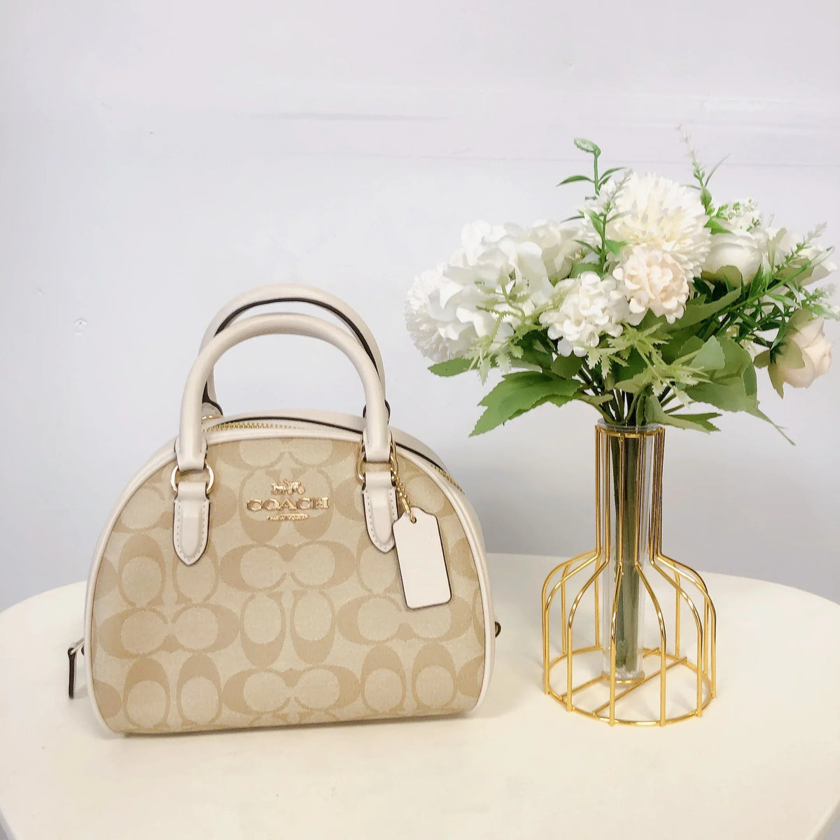 Coach  Sydney Satchel In Signature Canvas