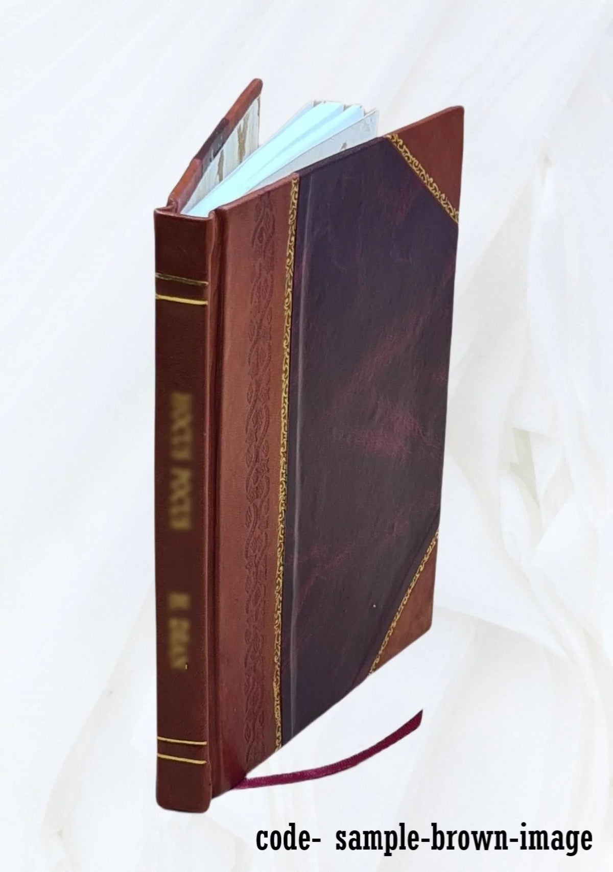 The 1st Division at Cantigny, May 1918 / by Rexmond . Cochrane. 1958 [Leather Bound]
