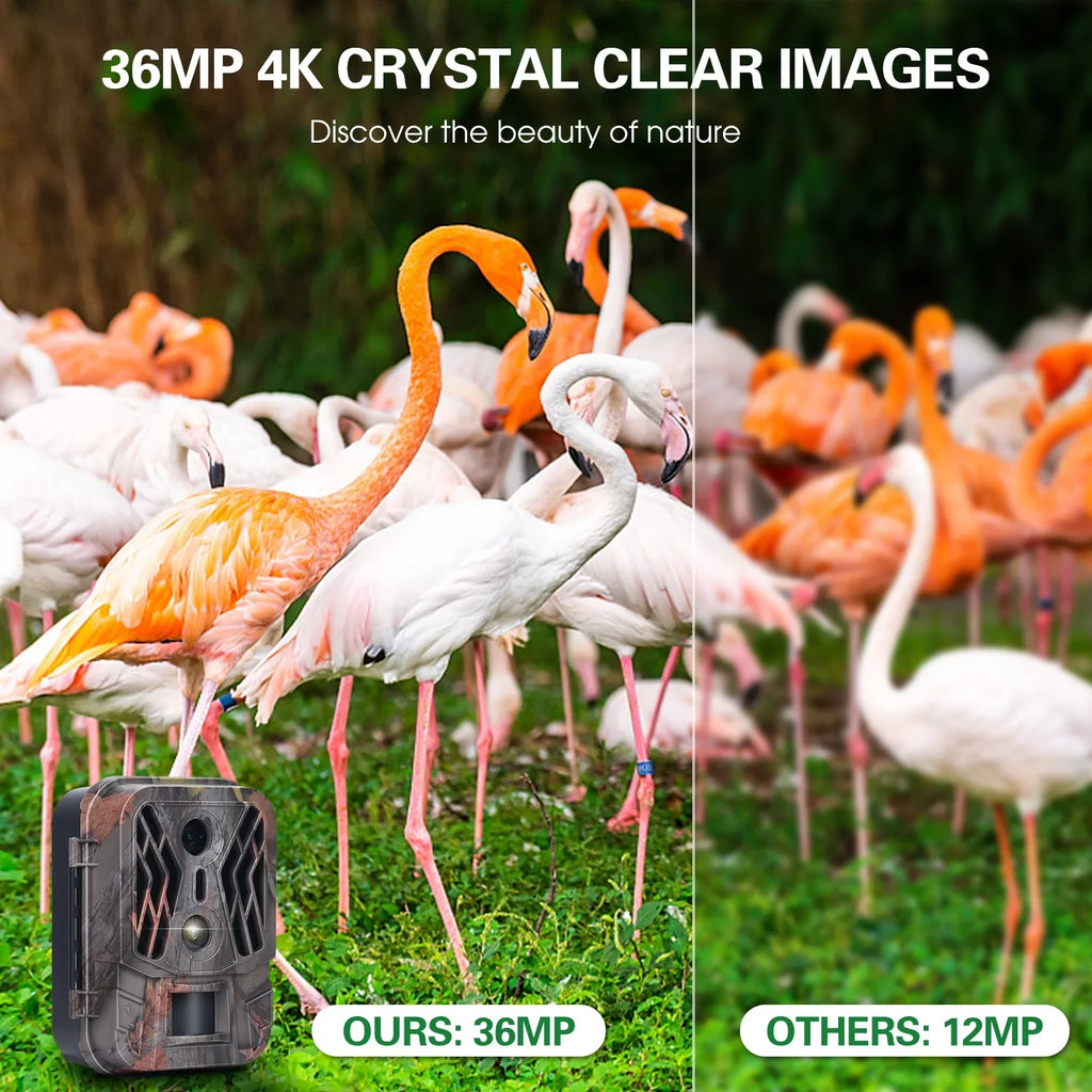 Pristin Camcorder,Farm Security Camera No Vision Camera Lens Camera 36MP Dual Lens Camera Motion Camera 36MP 4K Motion Mode  36MP Camera 1080P Camera 1080P Motion Camera 2.4"  Cousopo