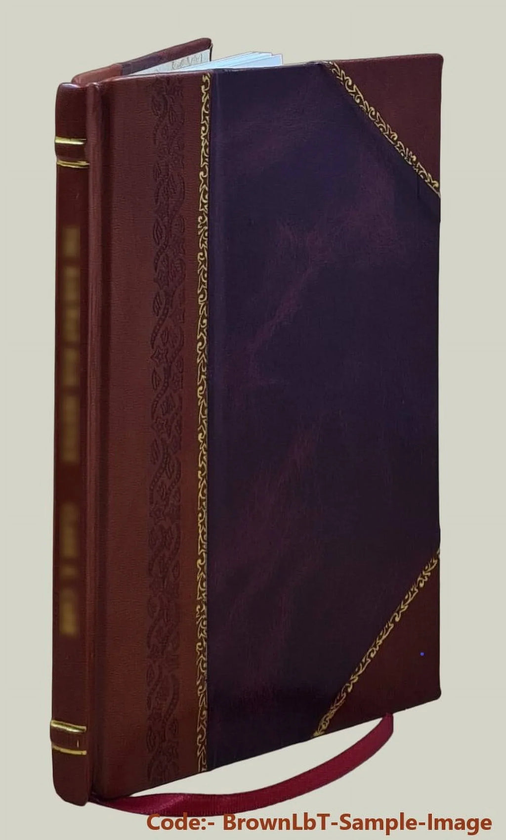 The soldier bird. "Old Abe": the live war eagle of Wisconsin, that served a three years' campaign in the outstanding rebellion. By . . Barrett. 1876 [Leather Bound]