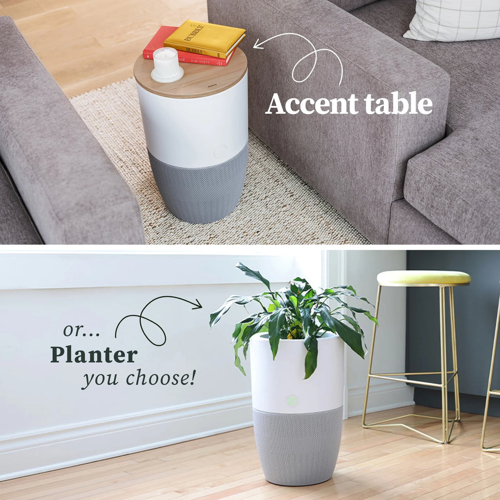 Dupray Bloom™ Air Purifier | Smart Medical-Grade -13 Air Filtration With Walnut Accent Table