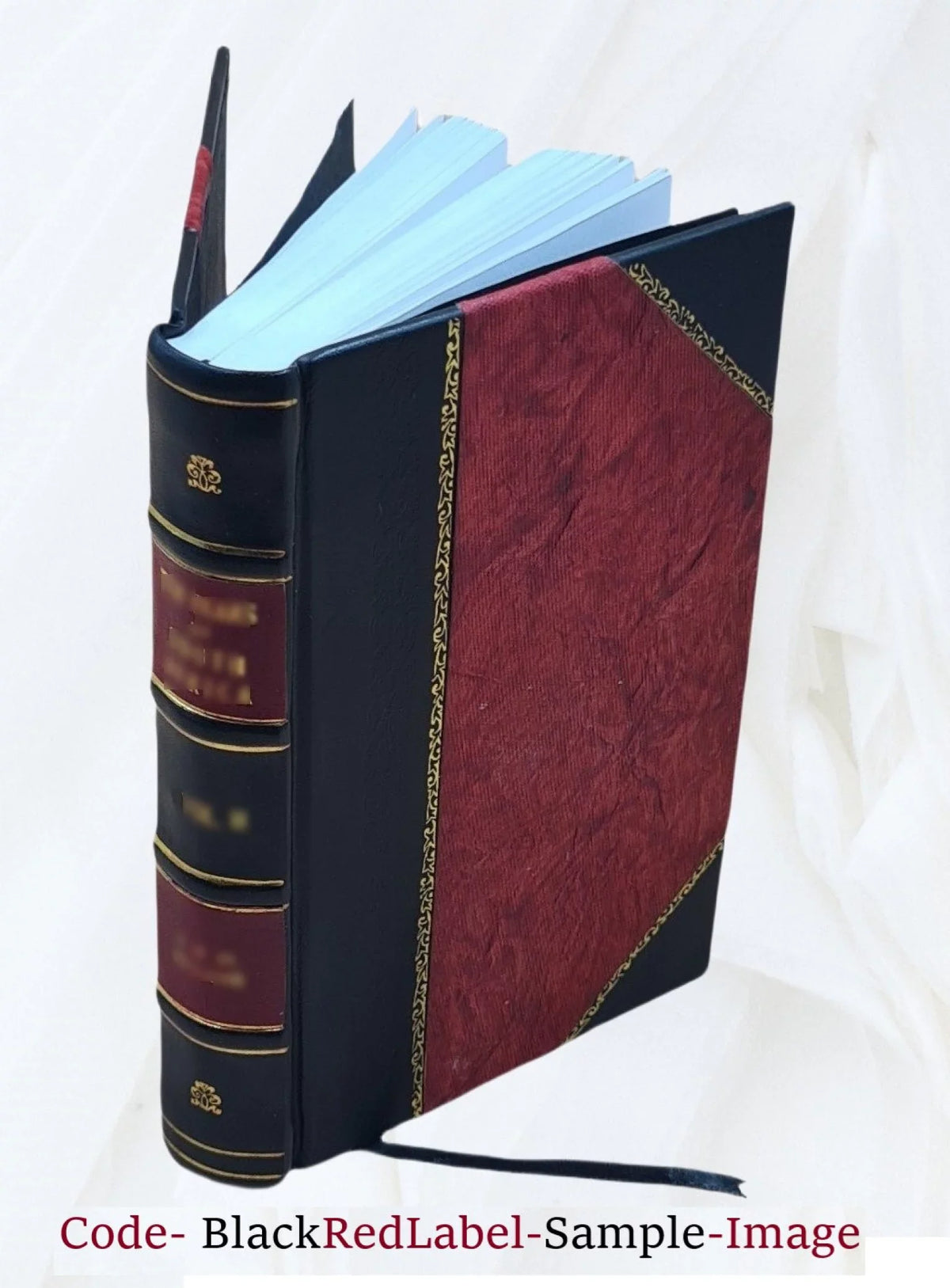 Corporis humani anatomia, in qua omnia tam veterum, quam recentiorum anatomicorum inventa methodo nova, & intellectu facillima describuntur, ac tabulis æneis repræsentantur. Author