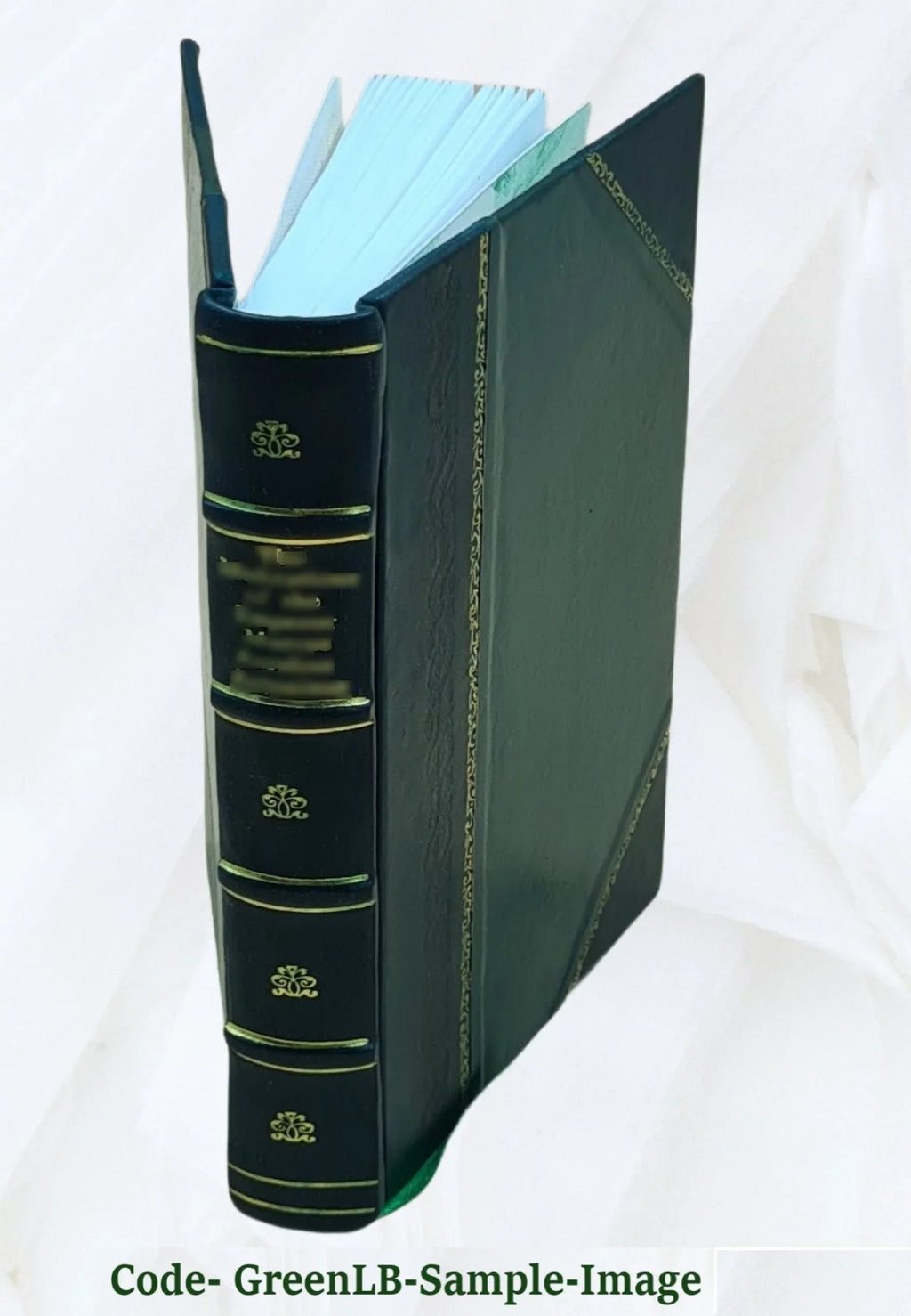 Leyes y reglamentos sobre privilegios de invención y marcas de fábrica en los países Hispano-Americanos, el Brasil y la República de Haití. 1904 [Leather Bound]